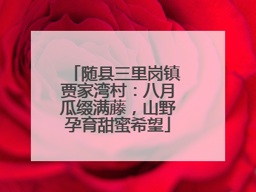 随县三里岗镇贾家湾村：八月瓜缀满藤，山野孕育甜蜜希望