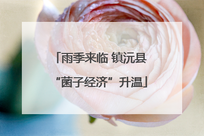 雨季来临 镇沅县“菌子经济”升温