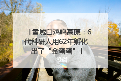 雪域白鸡鸣高原：6代科研人用62年孵化出了“金蛋蛋”