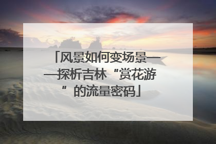 风景如何变场景——探析吉林“赏花游”的流量密码