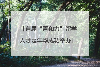 首届“青和力”留学人才嘉年华成功举办