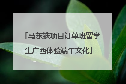 马东铁项目订单班留学生广西体验端午文化