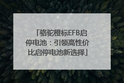 骆驼橙标EFB启停电池：引领高性价比启停电池新选择