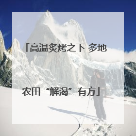 高温炙烤之下 多地农田“解渴”有方