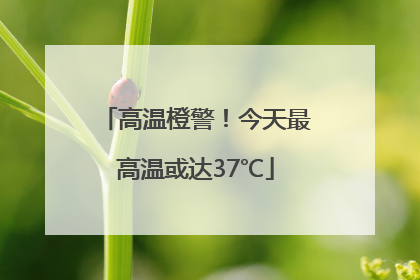 高温橙警！今天最高温或达37℃