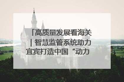 高质量发展看海关｜智慧监管系统助力宜宾打造中国“动力电池之都”