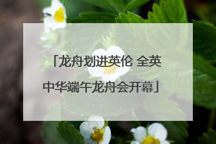 龙舟划进英伦 全英中华端午龙舟会开幕