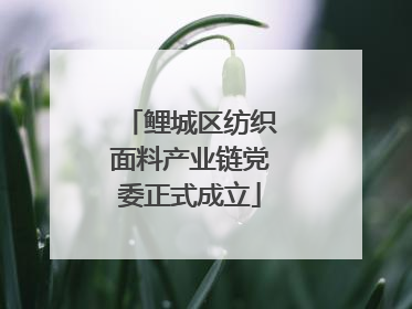 鲤城区纺织面料产业链党委正式成立