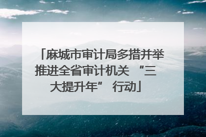 麻城市审计局多措并举推进全省审计机关 “三大提升年” 行动
