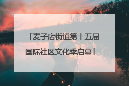 麦子店街道第十五届国际社区文化季启幕