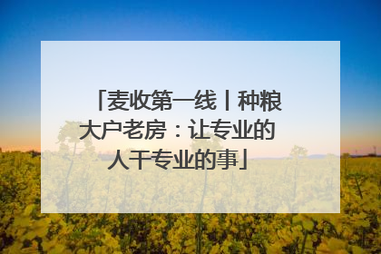 麦收第一线丨种粮大户老房：让专业的人干专业的事