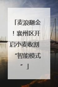 麦浪翻金！襄州区开启小麦收割“智能模式”