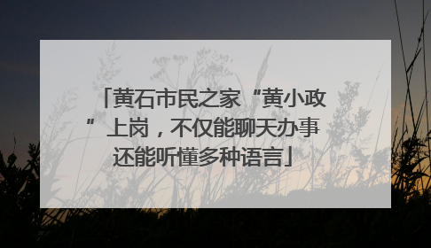 黄石市民之家“黄小政”上岗，不仅能聊天办事还能听懂多种语言