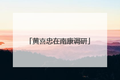 黄喜忠在南康调研