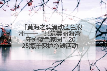 黄海之滨涌动蓝色浪潮——“共筑美丽海湾 守护蓝色家园”2025海洋保护净滩活动暨“美丽江苏—江河湖海青蓝行”海洋篇在连云港举行