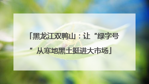 黑龙江双鸭山：让“绿字号”从寒地黑土挺进大市场