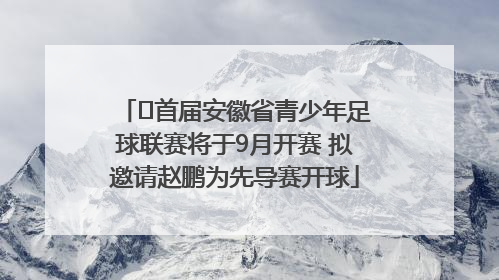 ﻿首届安徽省青少年足球联赛将于9月开赛 拟邀请赵鹏为先导赛开球
