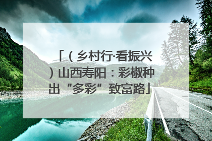 （乡村行·看振兴）山西寿阳：彩椒种出“多彩”致富路