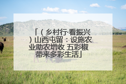 （乡村行·看振兴）山西屯留：设施农业助农增收 五彩椒带来多彩生活
