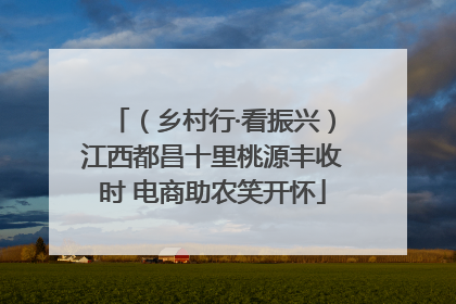 （乡村行·看振兴）江西都昌十里桃源丰收时 电商助农笑开怀