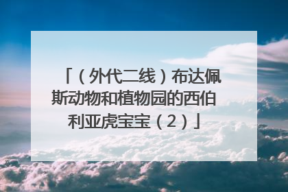 （外代二线）布达佩斯动物和植物园的西伯利亚虎宝宝（2）