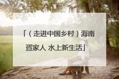（走进中国乡村）海南疍家人 水上新生活