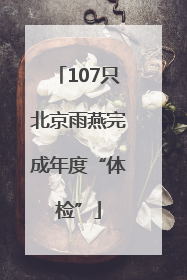 107只北京雨燕完成年度“体检”