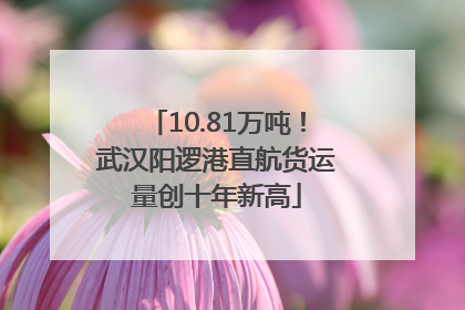 10.81万吨！武汉阳逻港直航货运量创十年新高