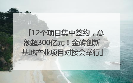 12个项目集中签约，总额超300亿元！金砖创新基地产业项目对接会举行