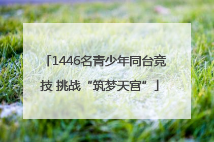 1446名青少年同台竞技 挑战“筑梦天宫”