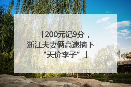 200元记9分，浙江夫妻俩高速摘下“天价李子”