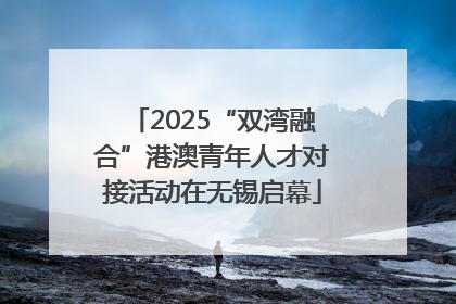 2025“双湾融合”港澳青年人才对接活动在无锡启幕
