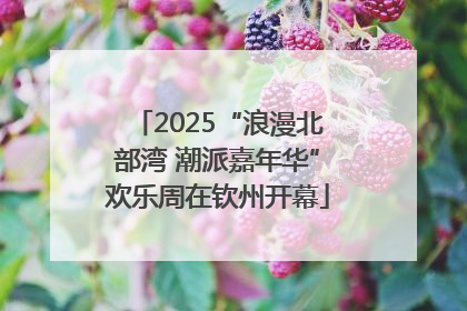 2025“浪漫北部湾 潮派嘉年华”欢乐周在钦州开幕