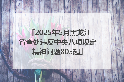 2025年5月黑龙江省查处违反中央八项规定精神问题805起