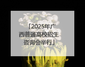 2025年广西普通高校招生咨询会举行