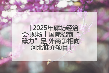 2025年廊坊经洽会·现场丨国际招商“磁力”足 外商争相向河北推介项目