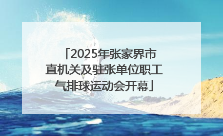 2025年张家界市直机关及驻张单位职工气排球运动会开幕