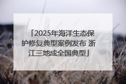 2025年海洋生态保护修复典型案例发布 浙江三地成全国典型