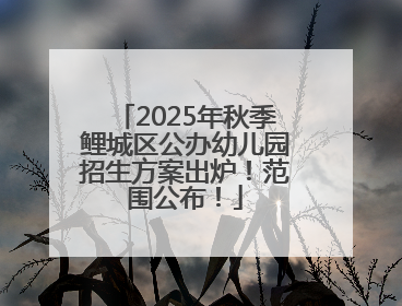 2025年秋季鲤城区公办幼儿园招生方案出炉！范围公布！