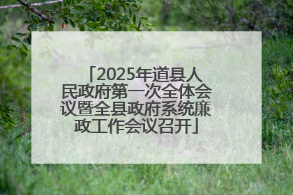2025年道县人民政府第一次全体会议暨全县政府系统廉政工作会议召开
