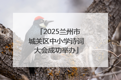 2025兰州市城关区中小学诗词大会成功举办