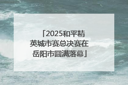2025和平精英城市赛总决赛在岳阳市圆满落幕