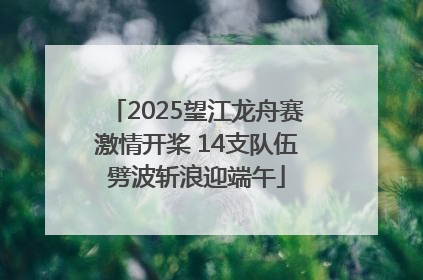 2025望江龙舟赛激情开桨 14支队伍劈波斩浪迎端午