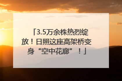 3.5万余株热烈绽放！日照这座高架桥变身“空中花廊”！