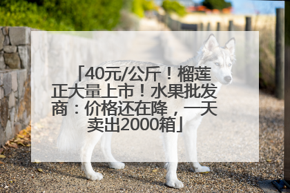 40元/公斤！榴莲正大量上市！水果批发商：价格还在降，一天卖出2000箱