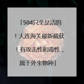 504只全是活的！大连海关最新截获！有攻击性和毒性，属于外来物种