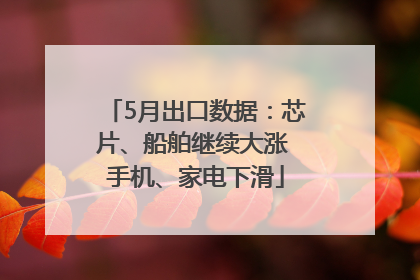 5月出口数据：芯片、船舶继续大涨 手机、家电下滑