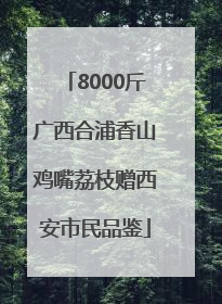 8000斤广西合浦香山鸡嘴荔枝赠西安市民品鉴