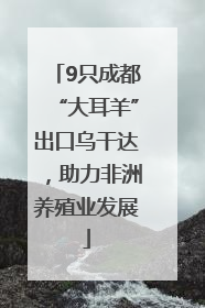 9只成都“大耳羊”出口乌干达，助力非洲养殖业发展