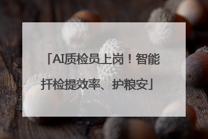 AI质检员上岗！智能扦检提效率、护粮安